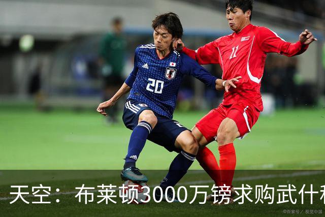 天空：布莱顿3000万镑求购武什科维奇，预计热刺对其估值超6000万